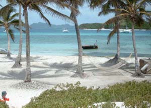 tobago cays palmenstrand